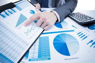 洞察市场，链接贸易 国内知名市场调研与贸易代理服务机构概览