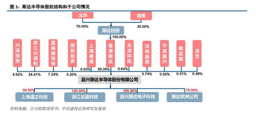 斯达半导 IGBT模块国内领先厂商，有望受益于国产替代与行业增长